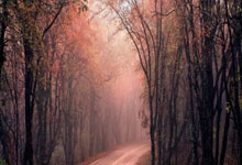 那不勒斯战术备战，盼取胜提升士气