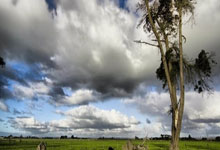 赫罗纳客场大胜，取得喘息机会