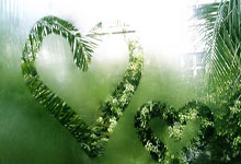 荷兰队顶住压力，克服波兰欧预赛首战